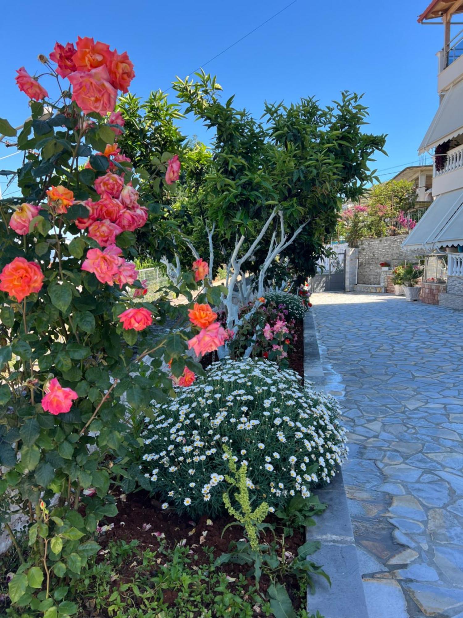 Amazing Familiar Apartments And Rooms Sarandë Exterior foto